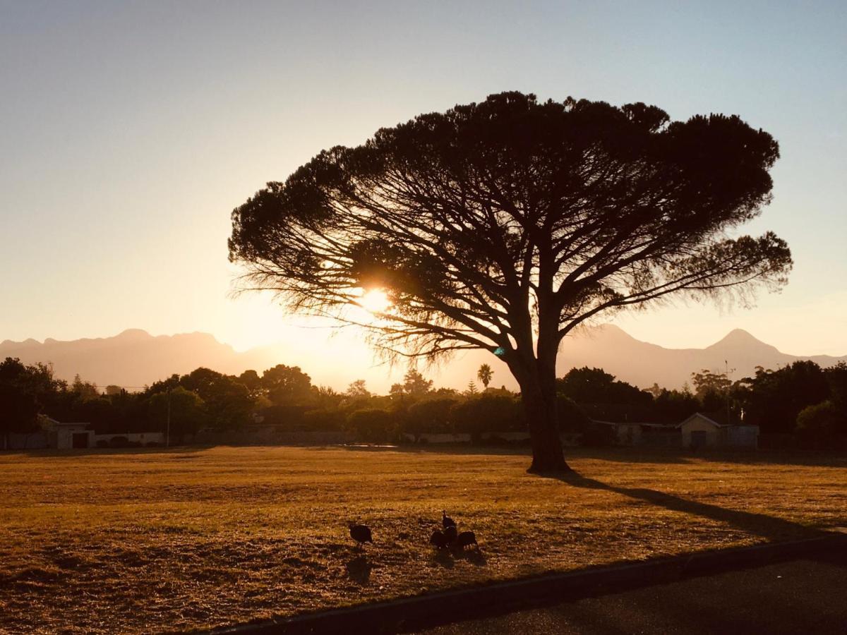 Khashamongo B & B Somerset West Esterno foto